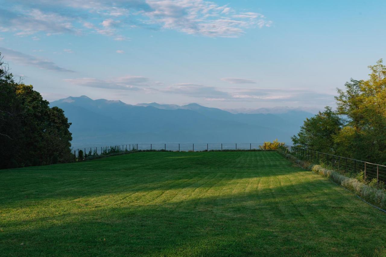 Hotel Vazisubani Estate Zewnętrze zdjęcie